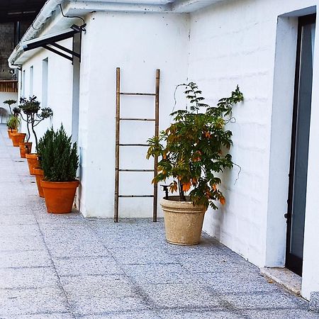 ポンテベドラ Casa Marina, En Plena Naturaleza Y Vistas Al Campoヴィラ エクステリア 写真